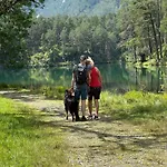 ホテル Schloss Fernsteinsee