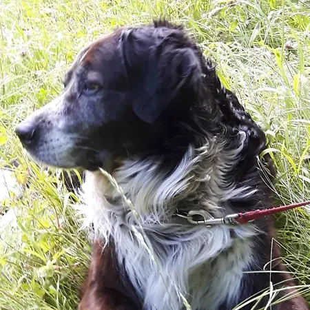 Hotel Schloss Fernsteinsee