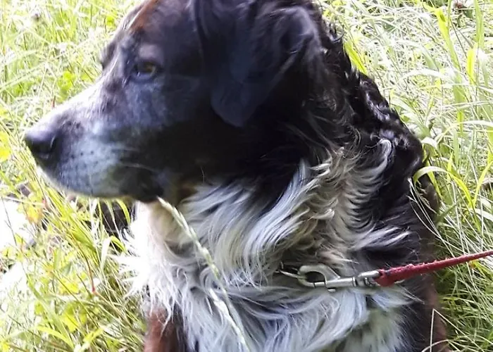 Hotel Schloss Fernsteinsee